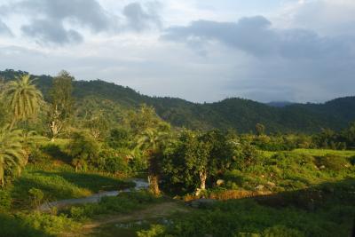 Zu schade, um vollgemuellt zu werden. Natur in und um Mount Abu 